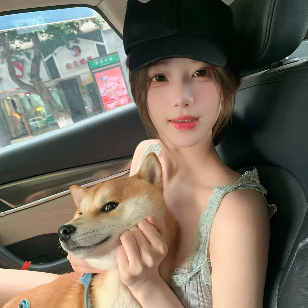 爱的迫降