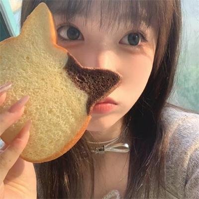 完全选举手册